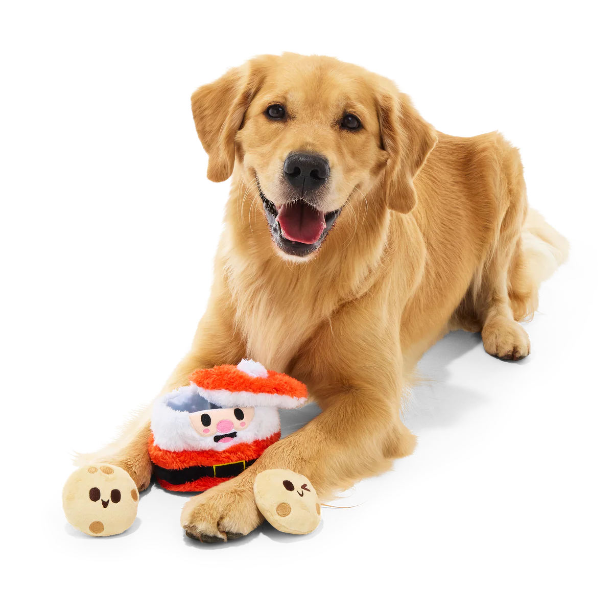 Santa's Jolly Cookie Jar Plush Multi-Part Dog Toy