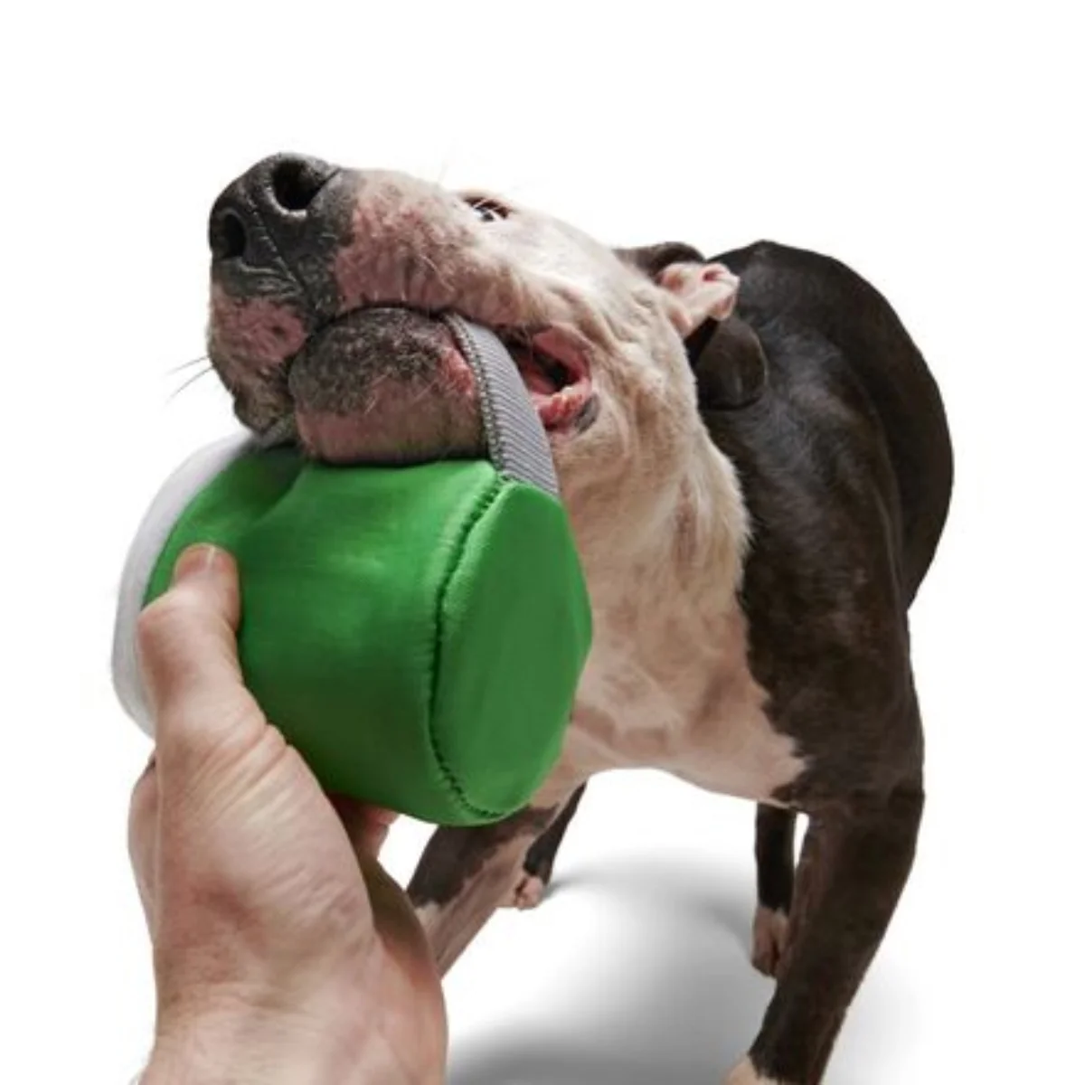 Erin Go Brew Durable Super Chewer 2-In-1 Rip And Reveal Dog Toy