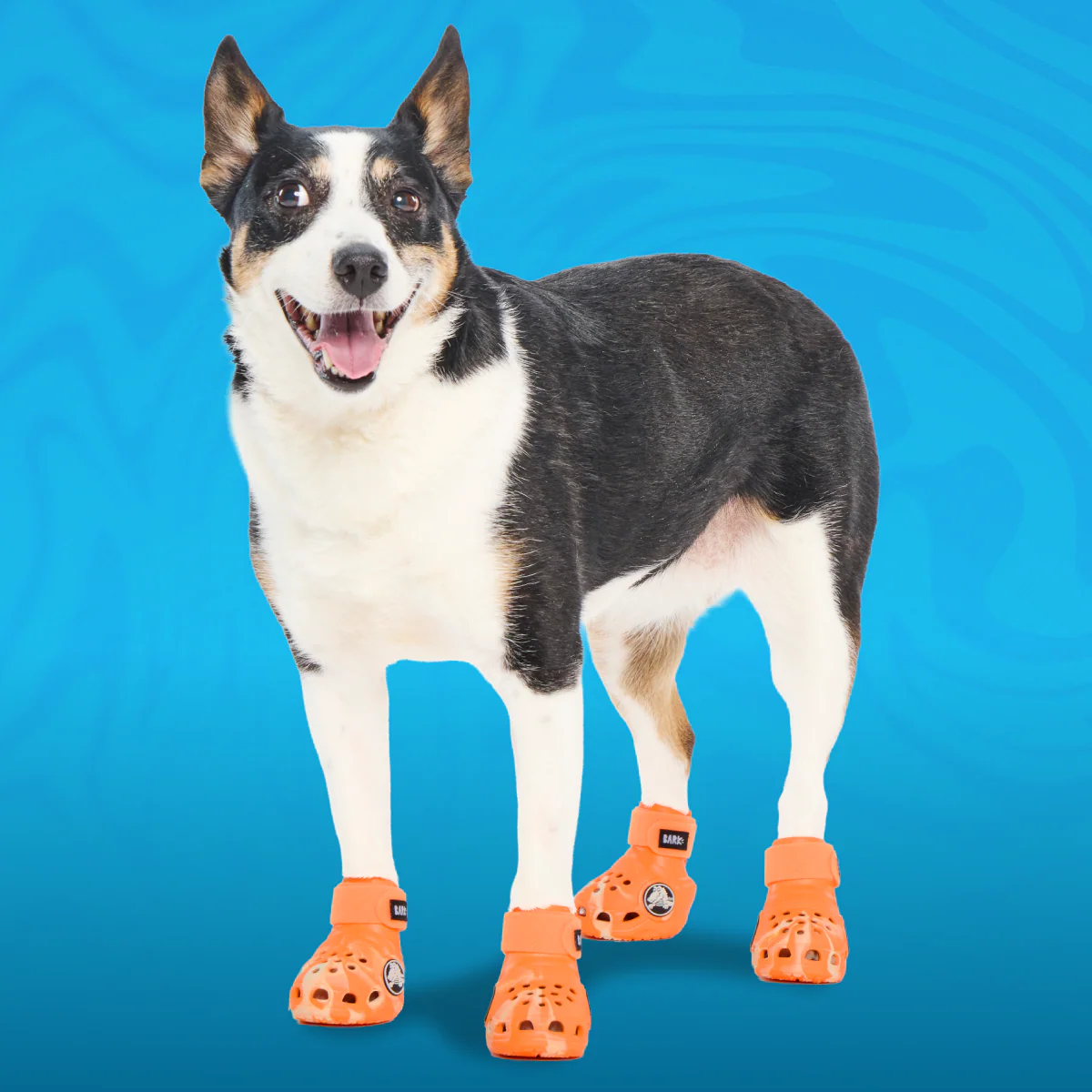 Crocs™ Shoes For Dogs