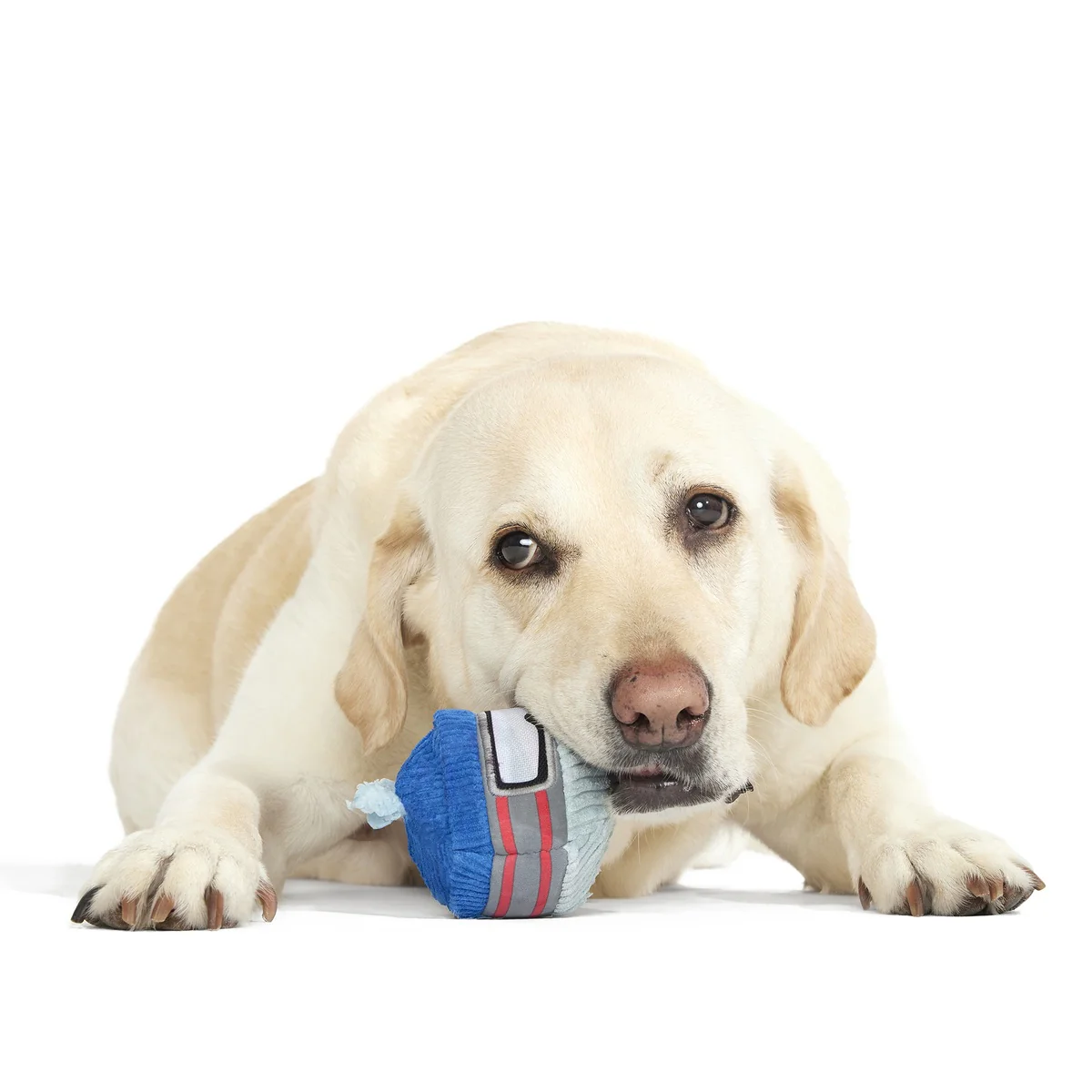 Gnar Ball Durable Super Chewer 2-In-1 Rip And Reveal Dog Toy