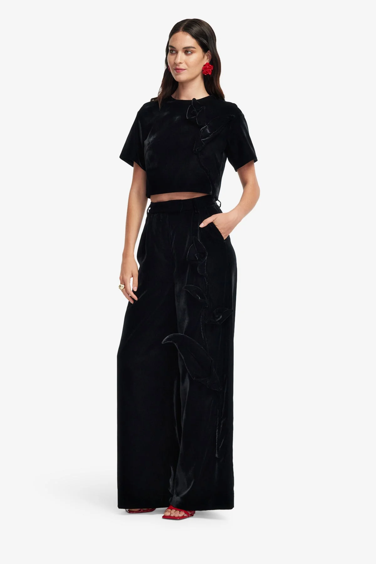 Elisha Velvet Wide Leg Pants - Ebony
