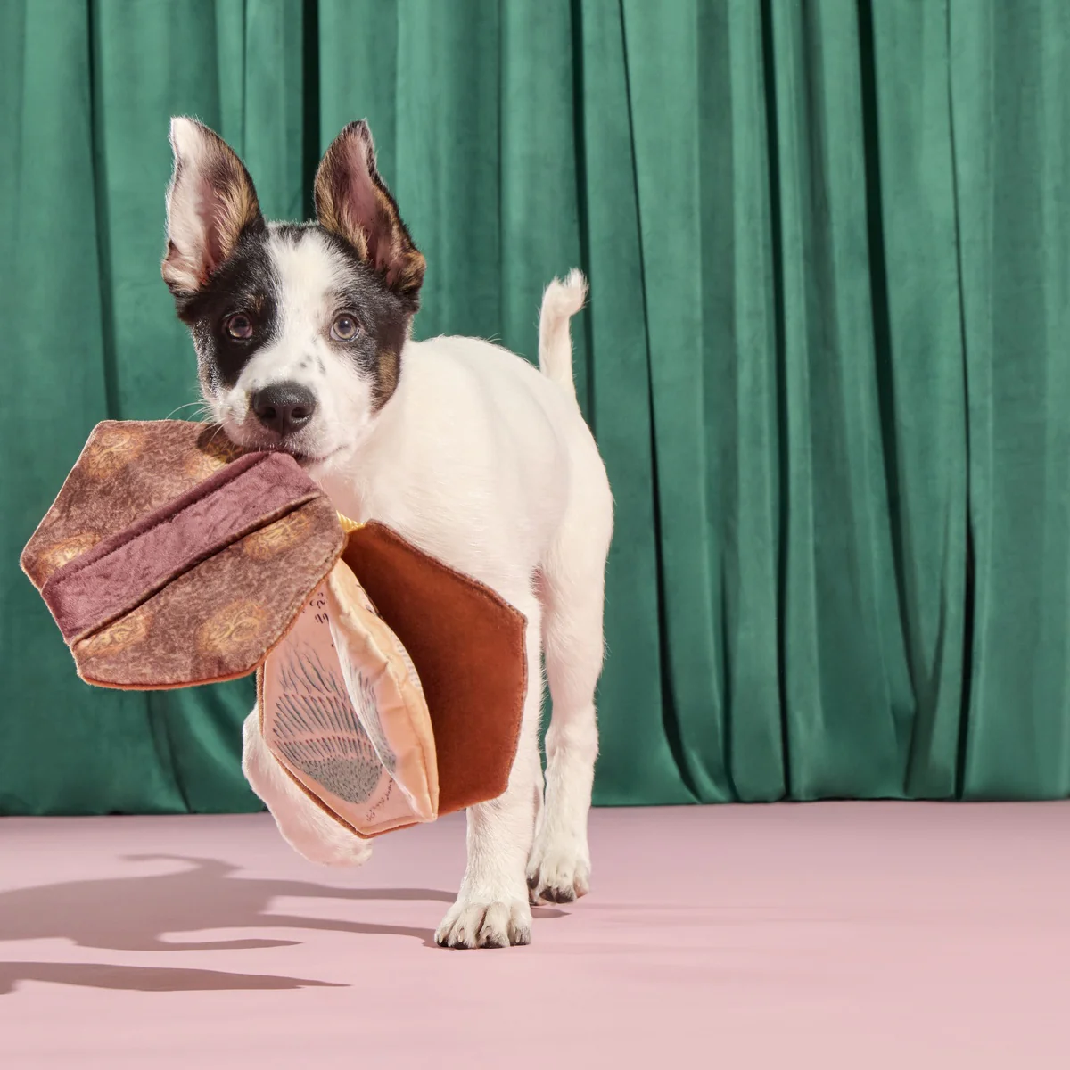 The Grrr-immerie Plush Enrichment Dog Toy