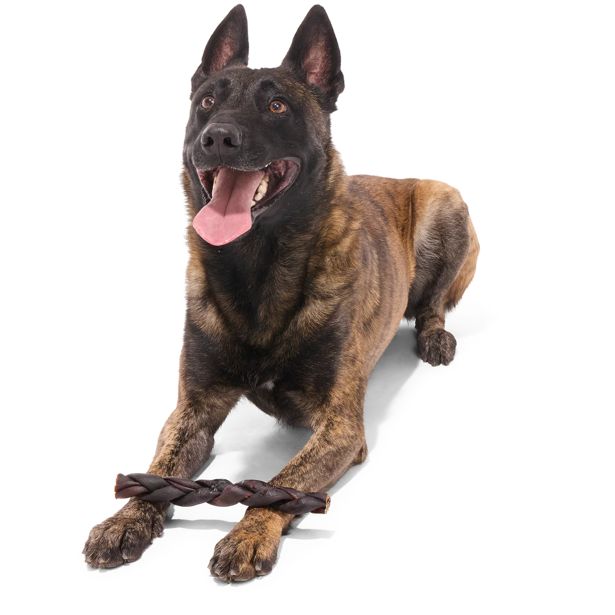 Beef Braided Collagen Dog Chew, Single, 9