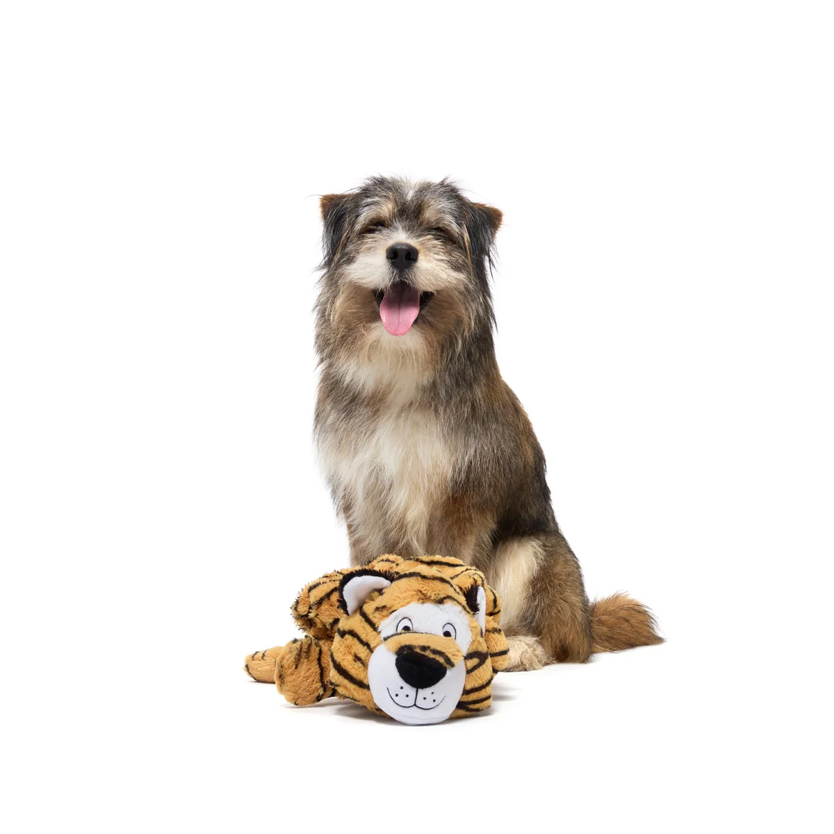 Benji The Bouncing Tiger Plush Extra-Large + Tug Dog Toy