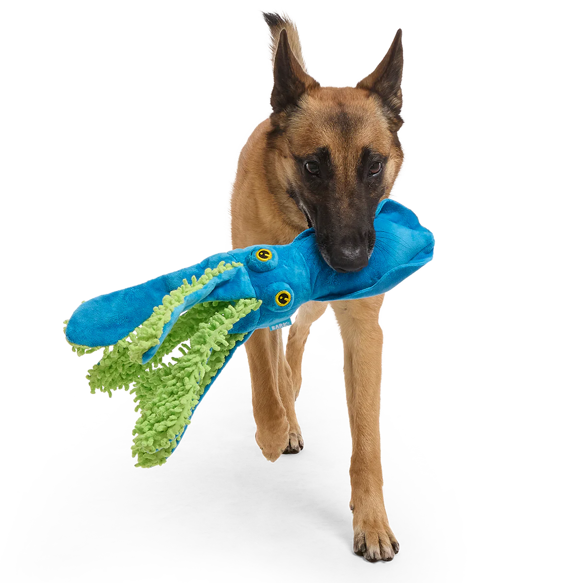 Shifty Sid the Squid Plush Extra-Large + Tug Dog Toy