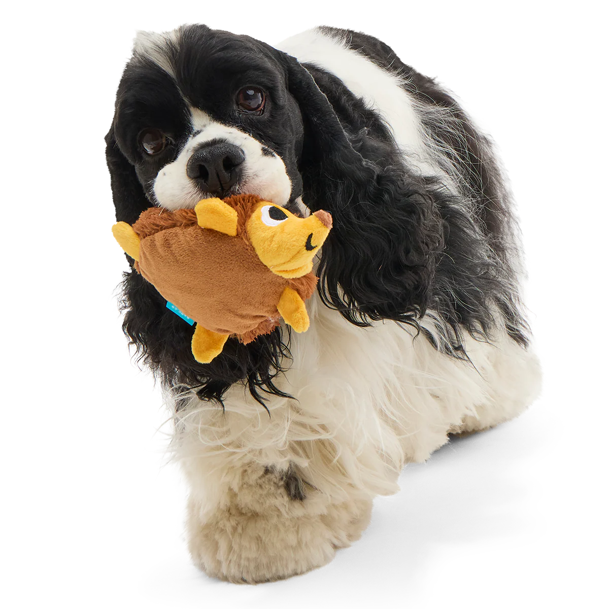 Spike the Ball Hog Plush Multi-Part + Fetch Dog Toy
