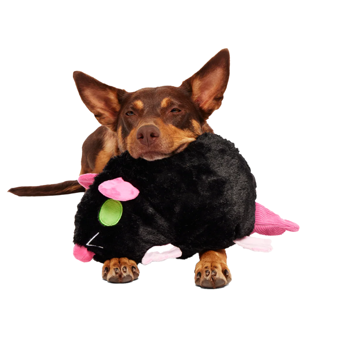 Rat-A-Chewy Plush Extra-Large + 2-in-1 Rip and Reveal Dog Toy