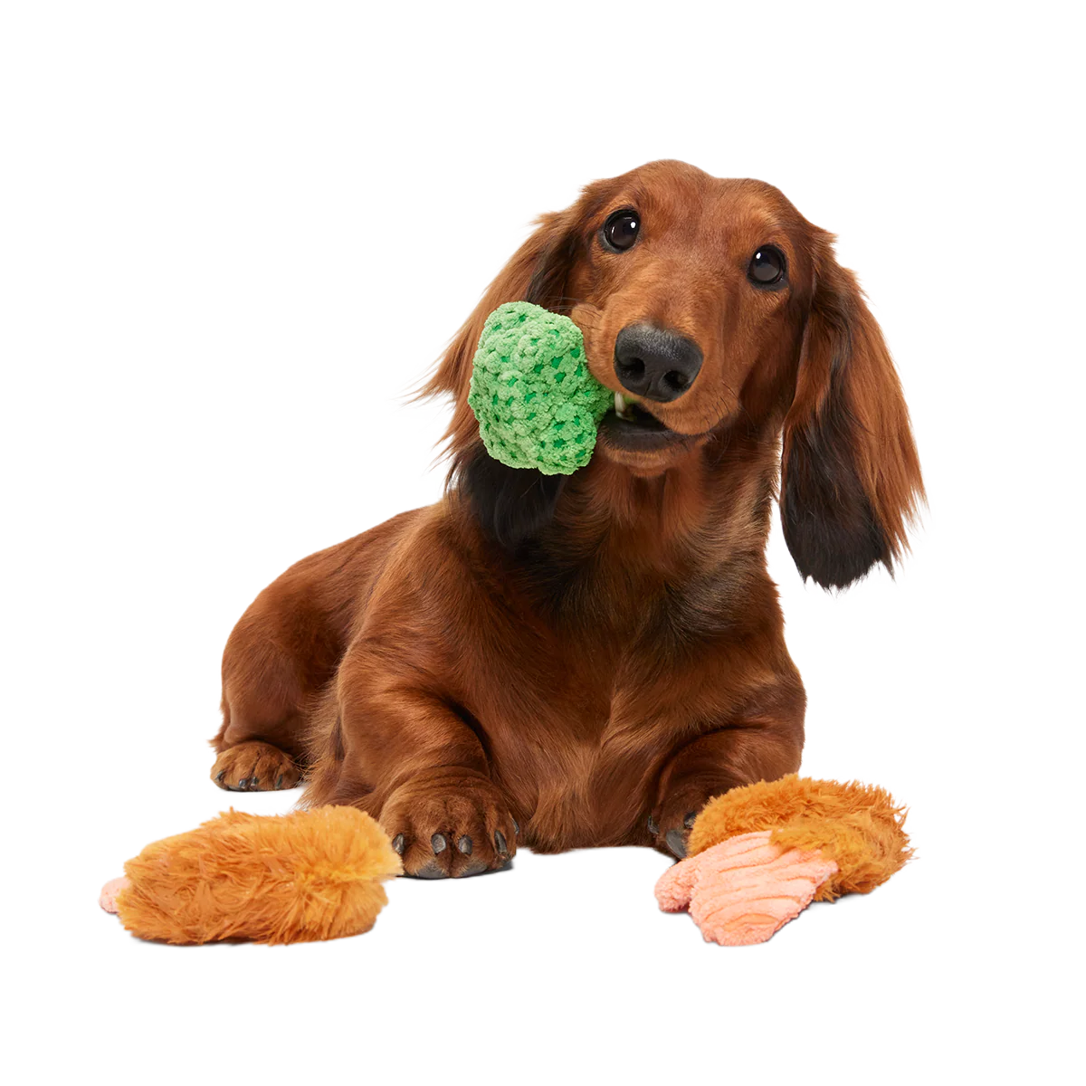 Sizzlin' Sea & Tree Sampletizer Plush Multi-Part + Enrichment Dog Toy