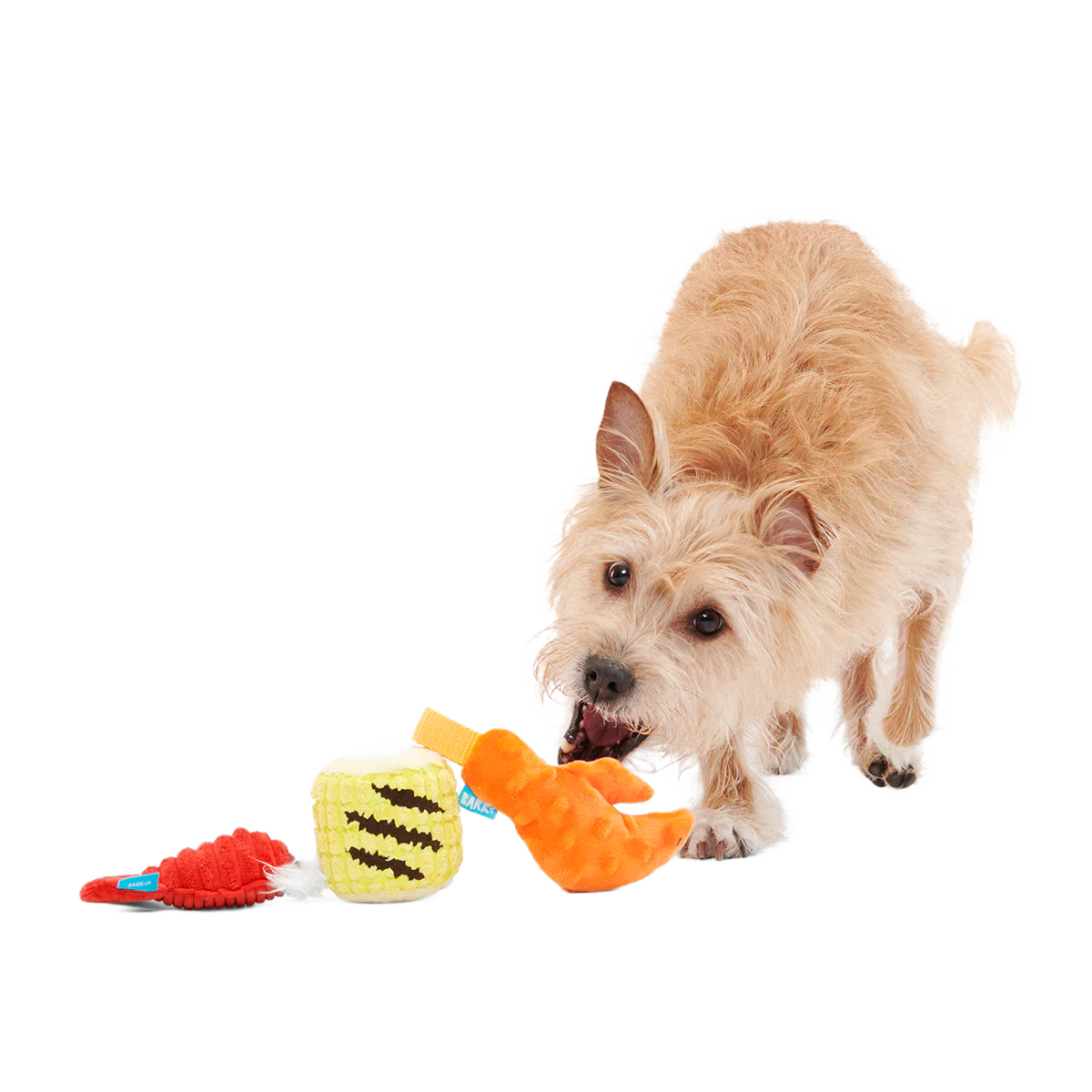 The Maine Event Plush Multi-Part Dog Toy