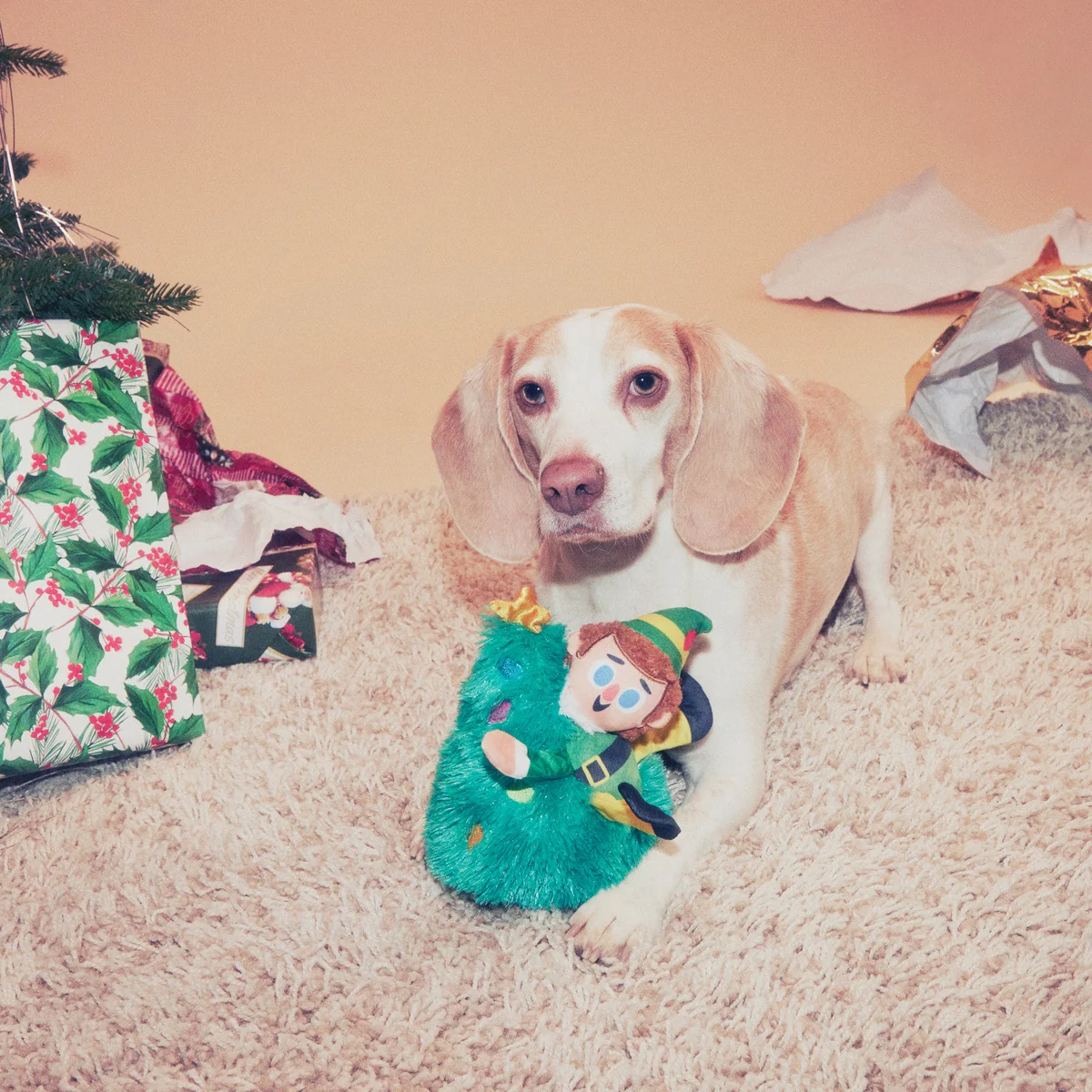 Tree Topper Buddy™ Plush Dog Toy