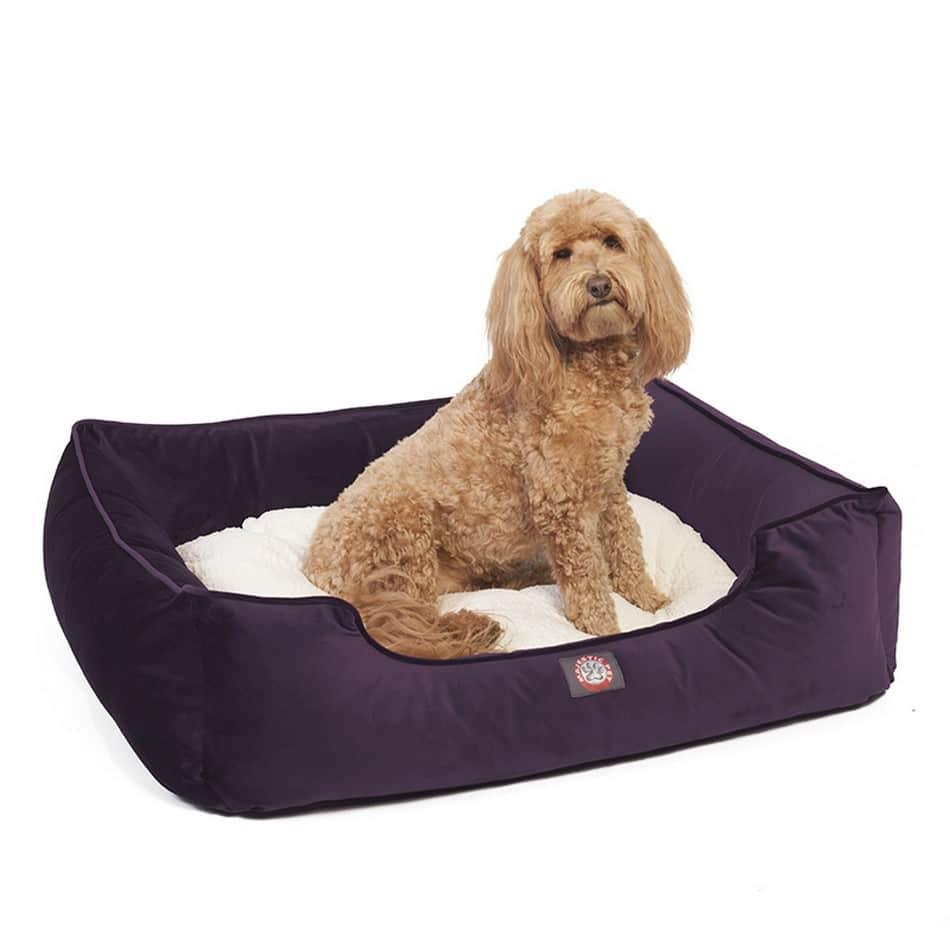 Velvet Contemporary Lounge Bed