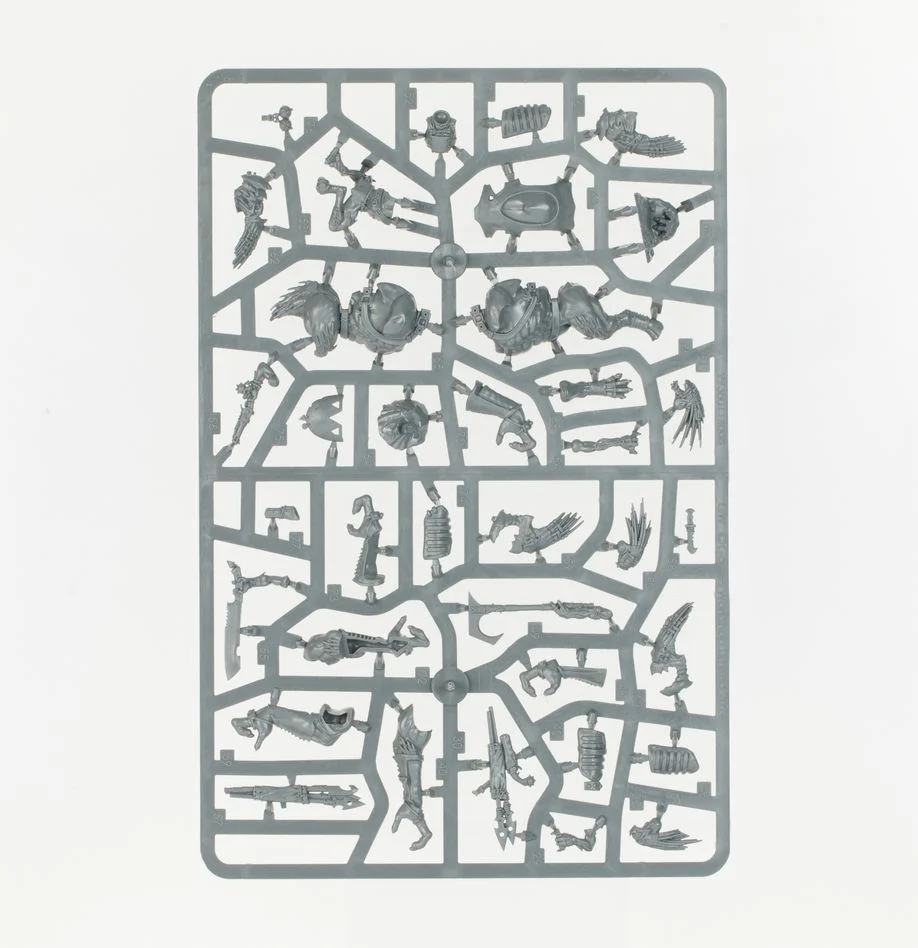 Warhammer 40,000 T'au Empire Army Set: Kroot Hunting Pack