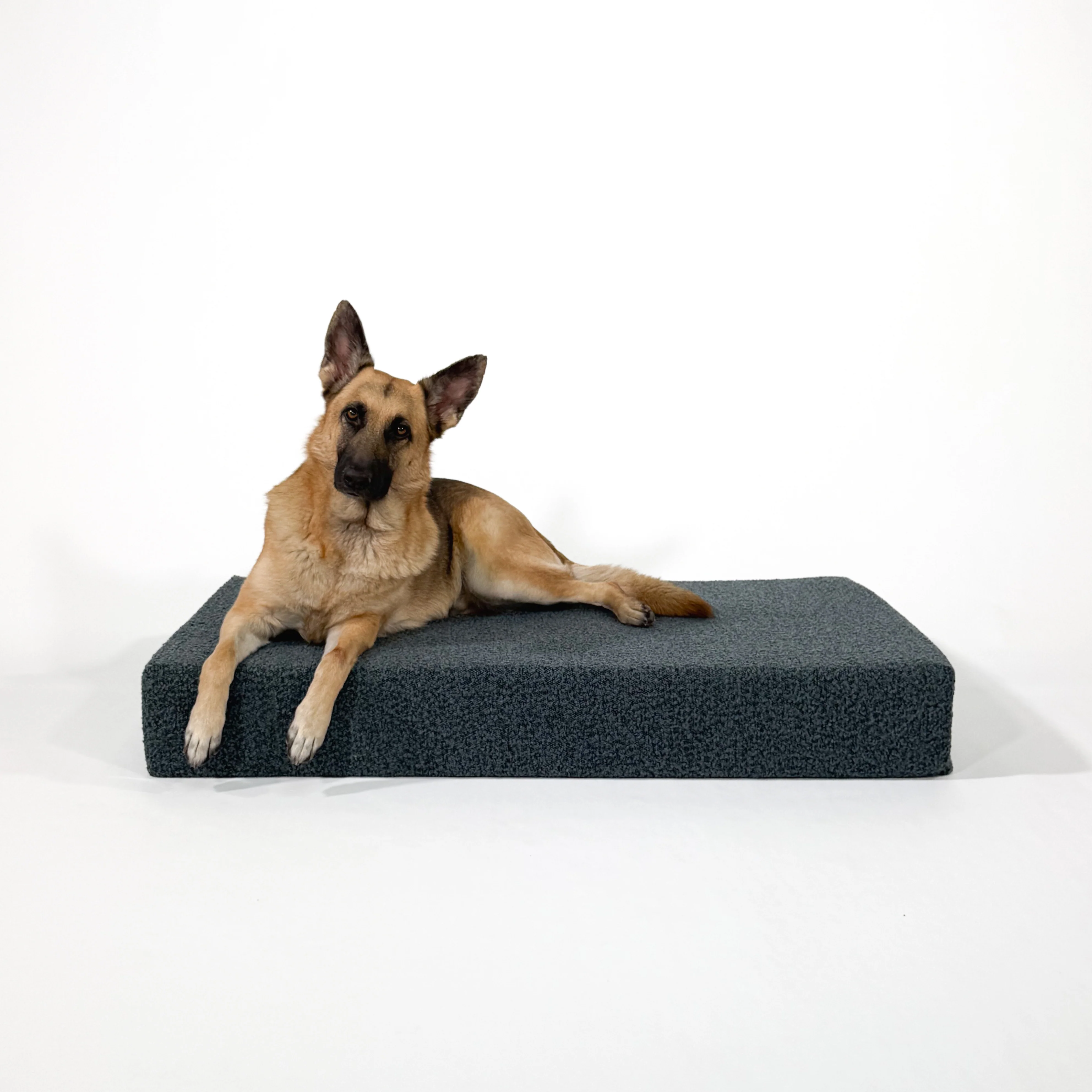 Large Bouclé Orthopedic Dog Bed (Cushion, Ocean Blue)