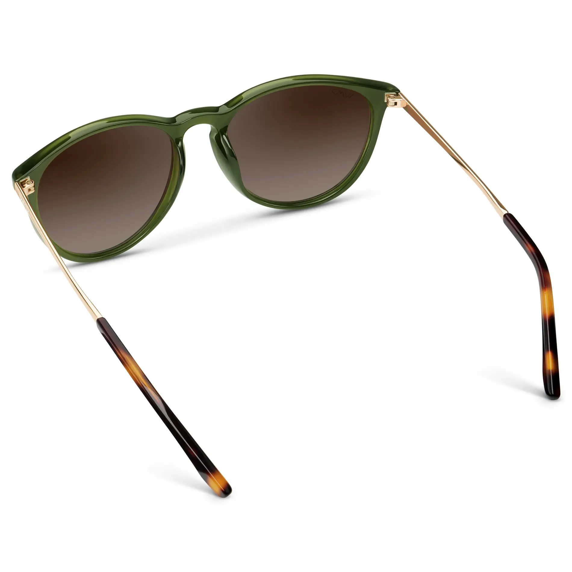 Drew | Polarized
