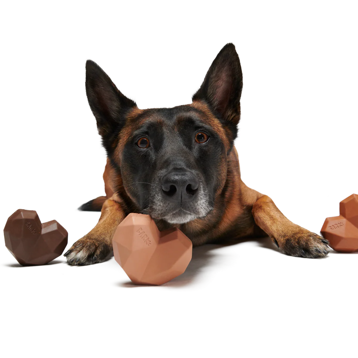 Box Of Chocolicks Super Chewer Durable Multi-Part + Gnaw Dog Toy