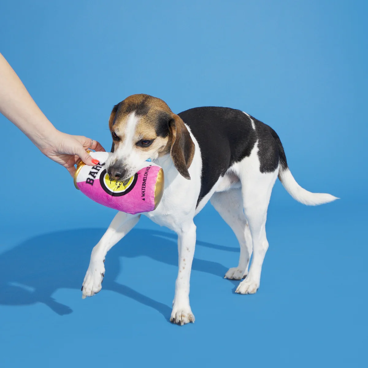 Bark-B-Q: Watermelon Ale Plush Dog Toy