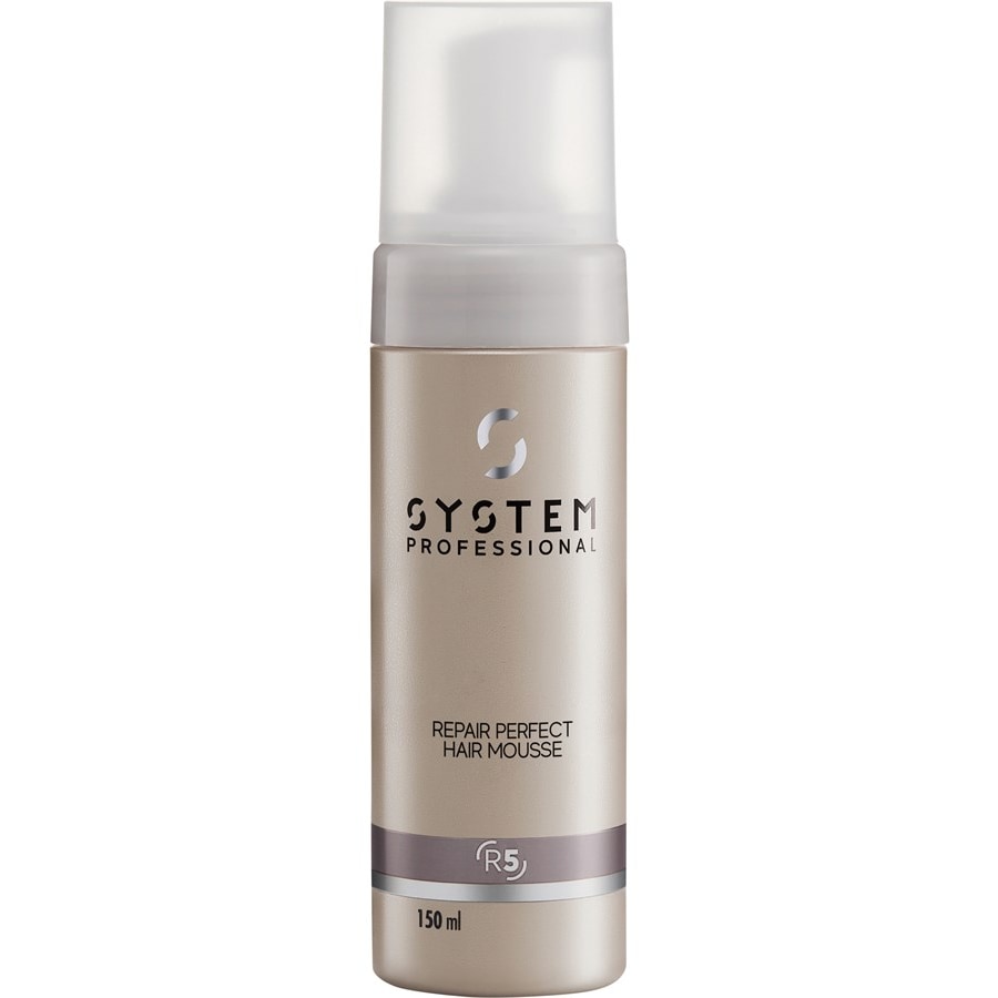 System Professional Lipid Code Repair Perfect Hair R5