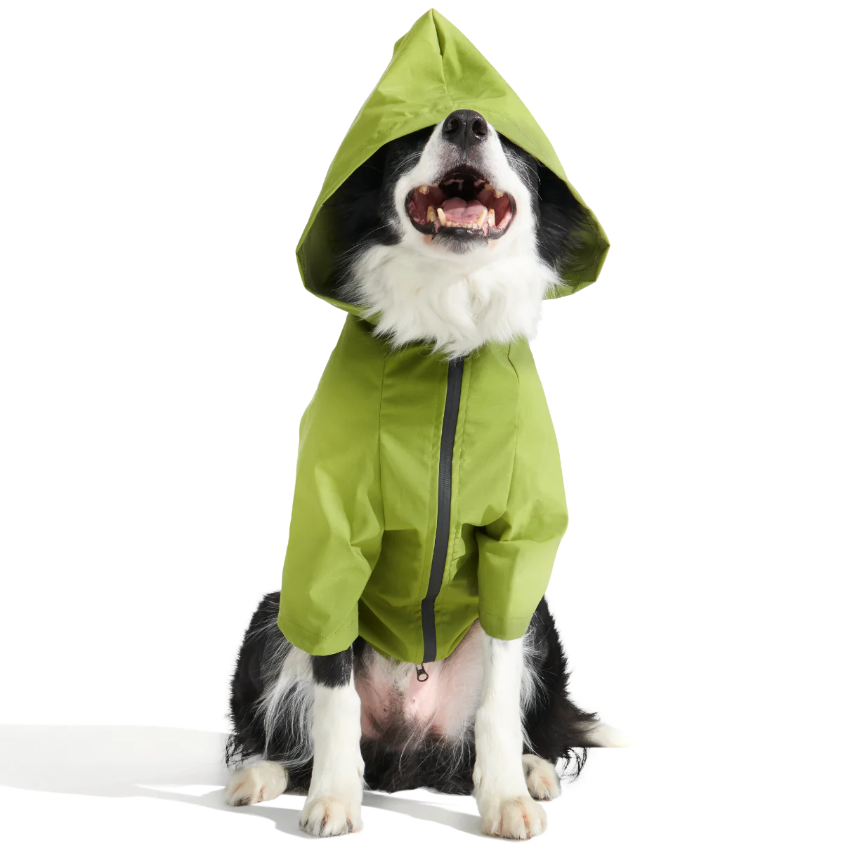 The Dry Dog Raincoat
