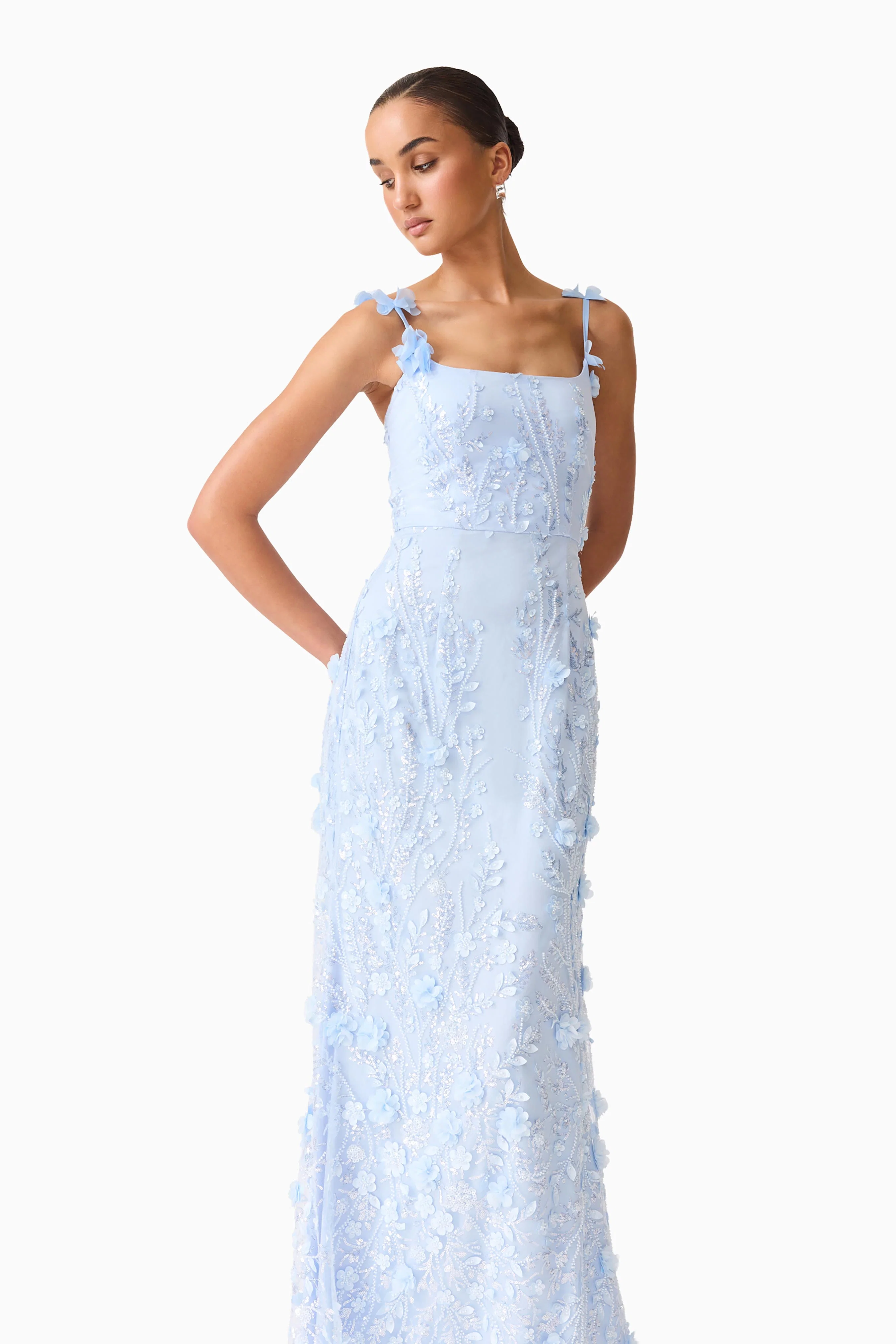 Rina Embellished Gown in Blue