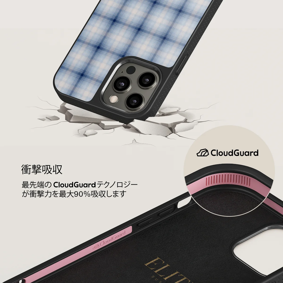 Early Bird - iPhone 12 Pro Max ケース