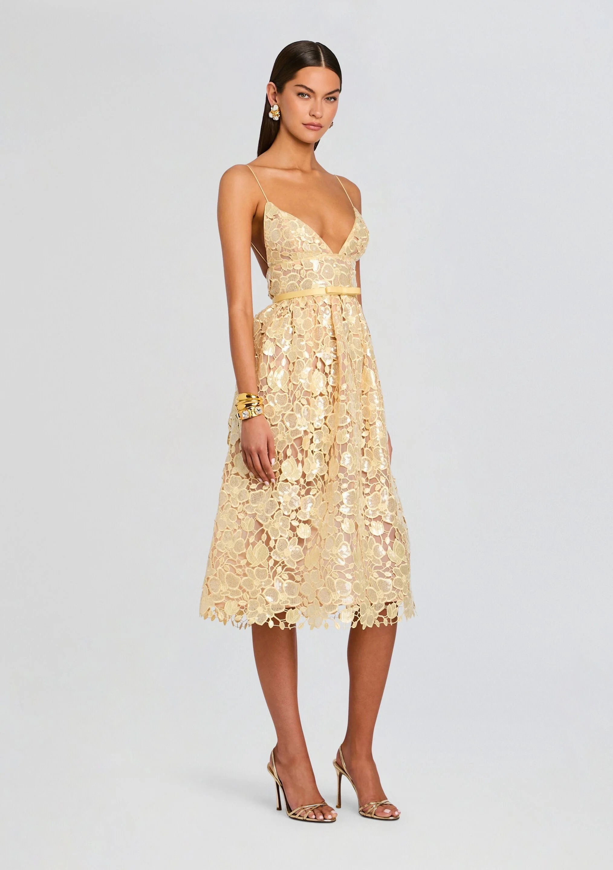 Eulalia Sequin Lace Dress