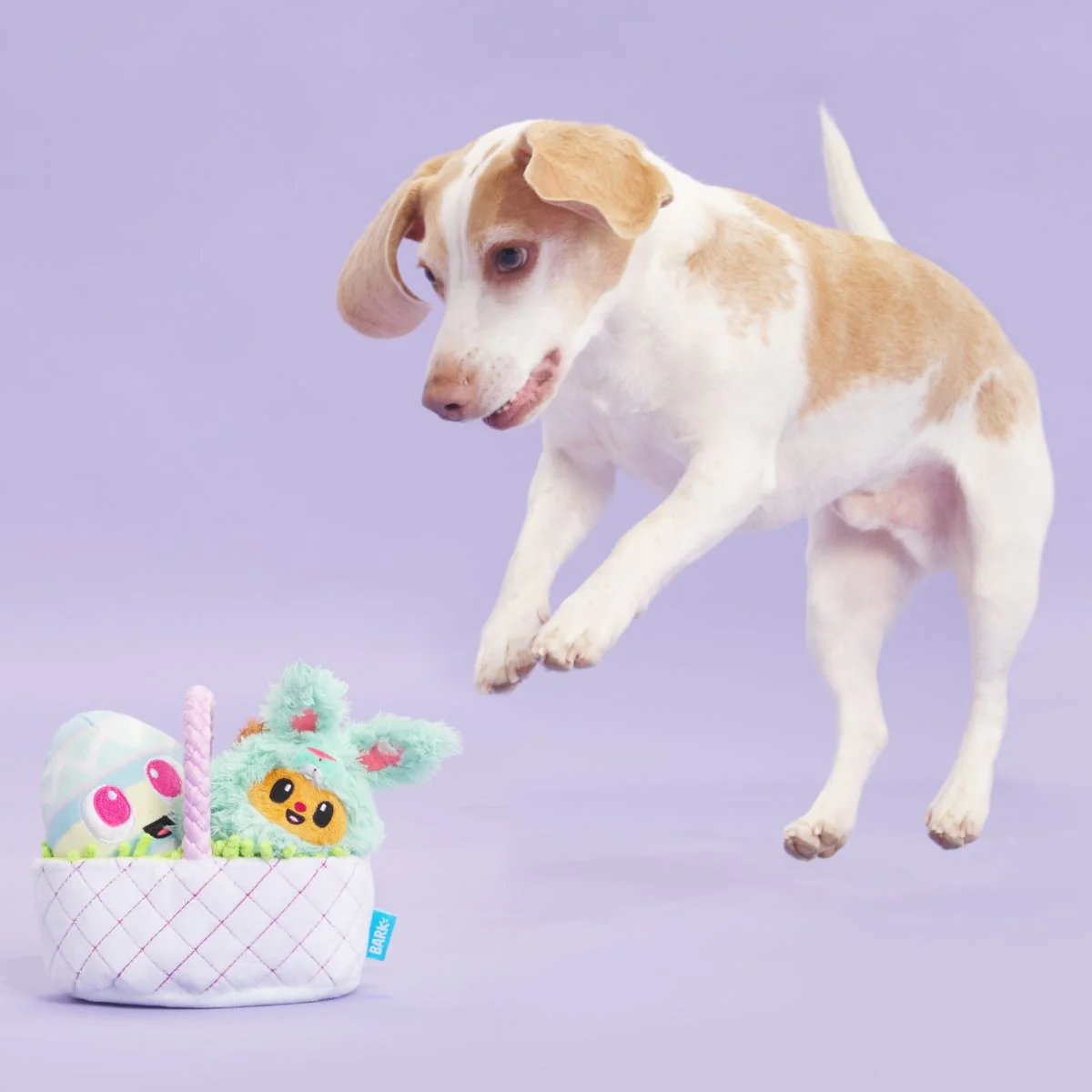 Bark Easter Bundle Plush Tug + Enrichment + Multi-Part Dog Toy
