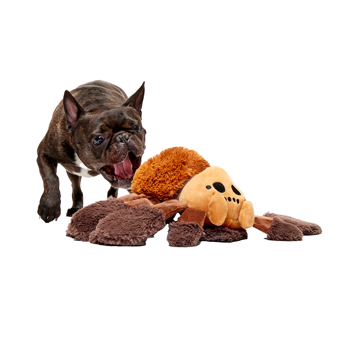 Aragog™ Plush Tug Extra-Large Dog Toy