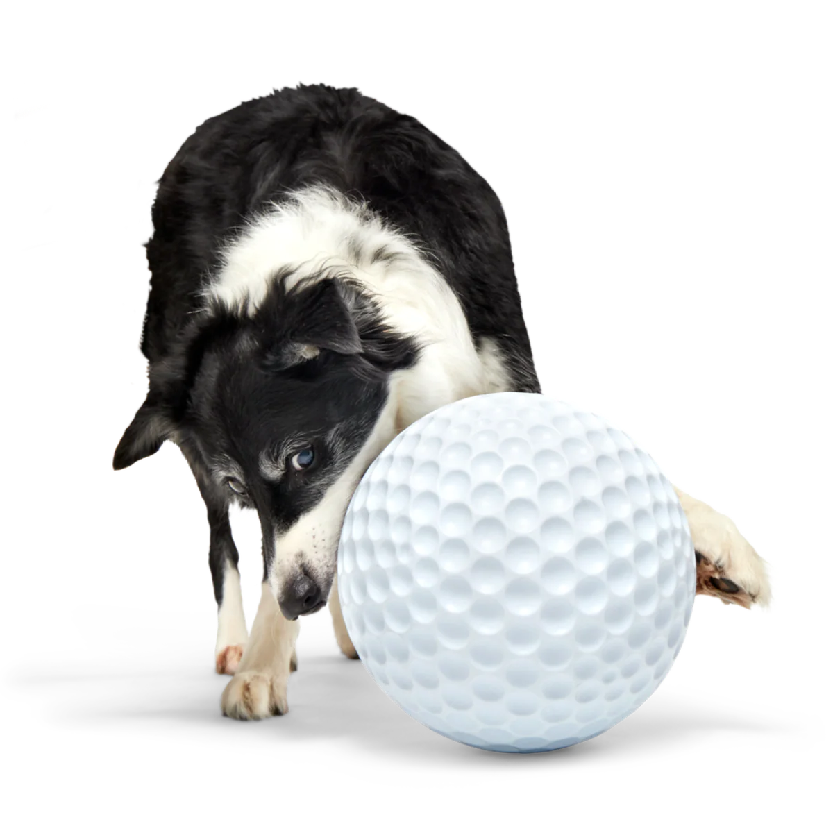 Big Swing Golf Ball Super Chewer Durable Extra-Large Fetch Dog Toy