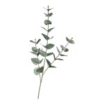 Blumen