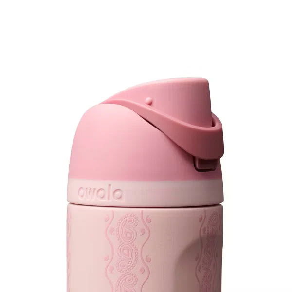Owala 24fl oz Stainless Steel Special Edition FreeSip Water Bottle - Painted Canyon - luluinthesky
