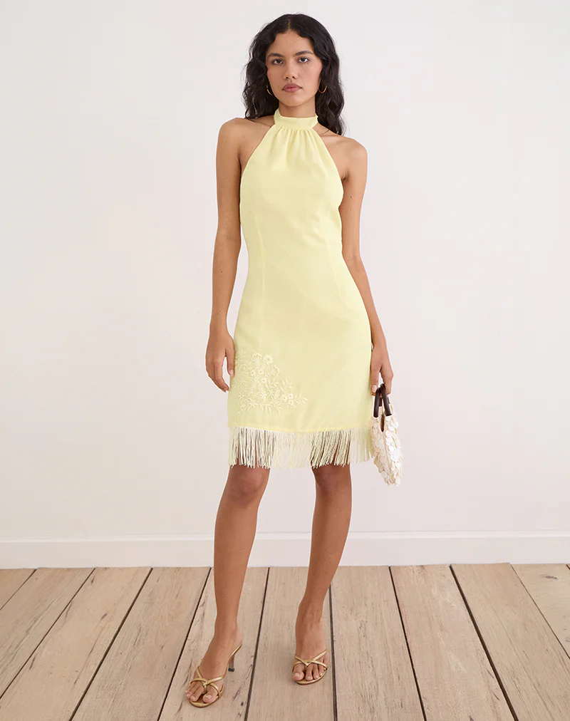 Brisea Mini Dress in Lemon with Vintage Bloom Embroidery