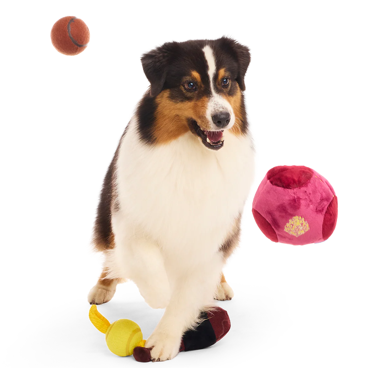 Quidditch™ Equipment Pack Plush Multi-Part + Tennis Ball Fetch Dog Toy