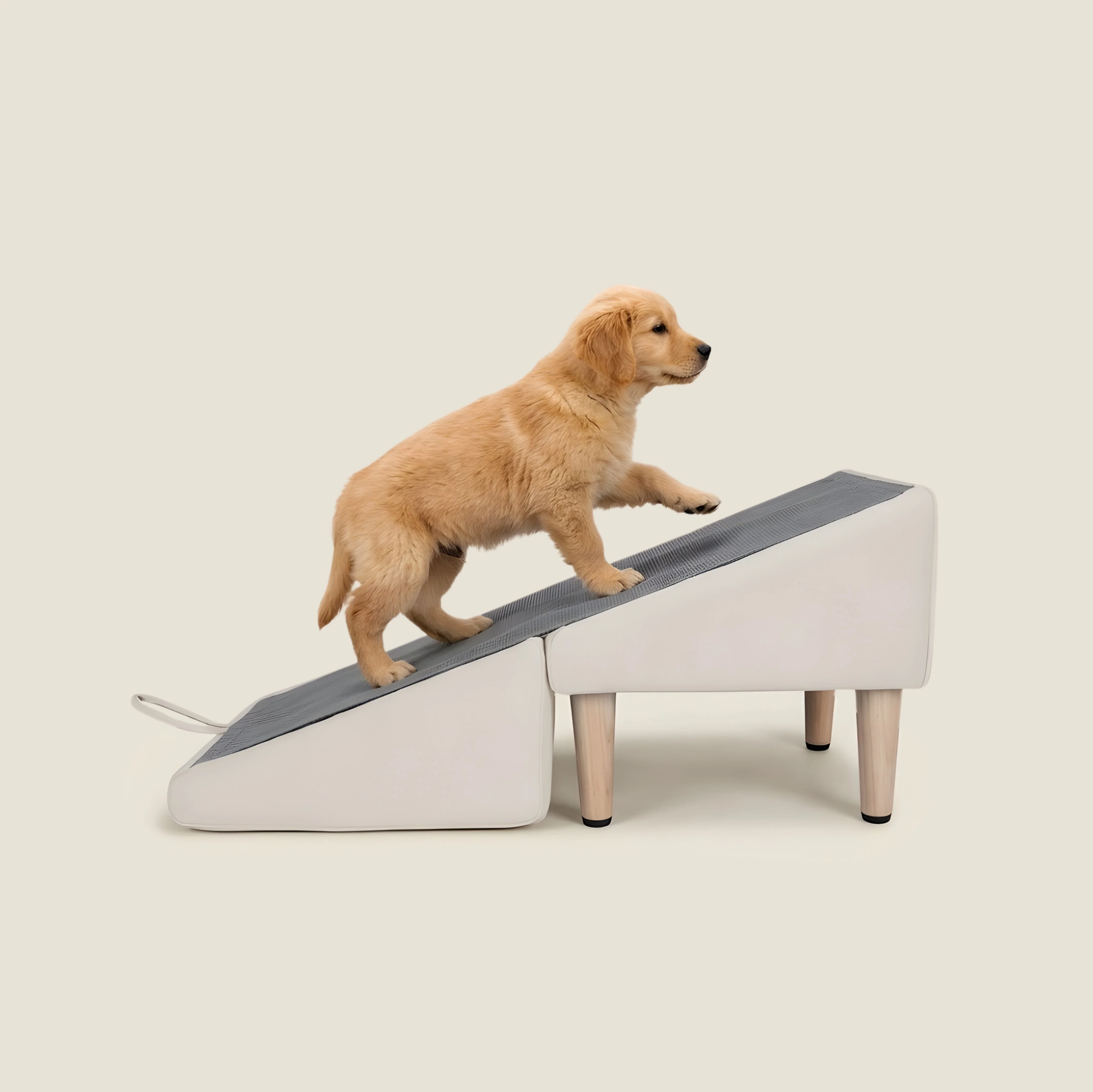2-in-1 Dog Ramp & Ottoman
