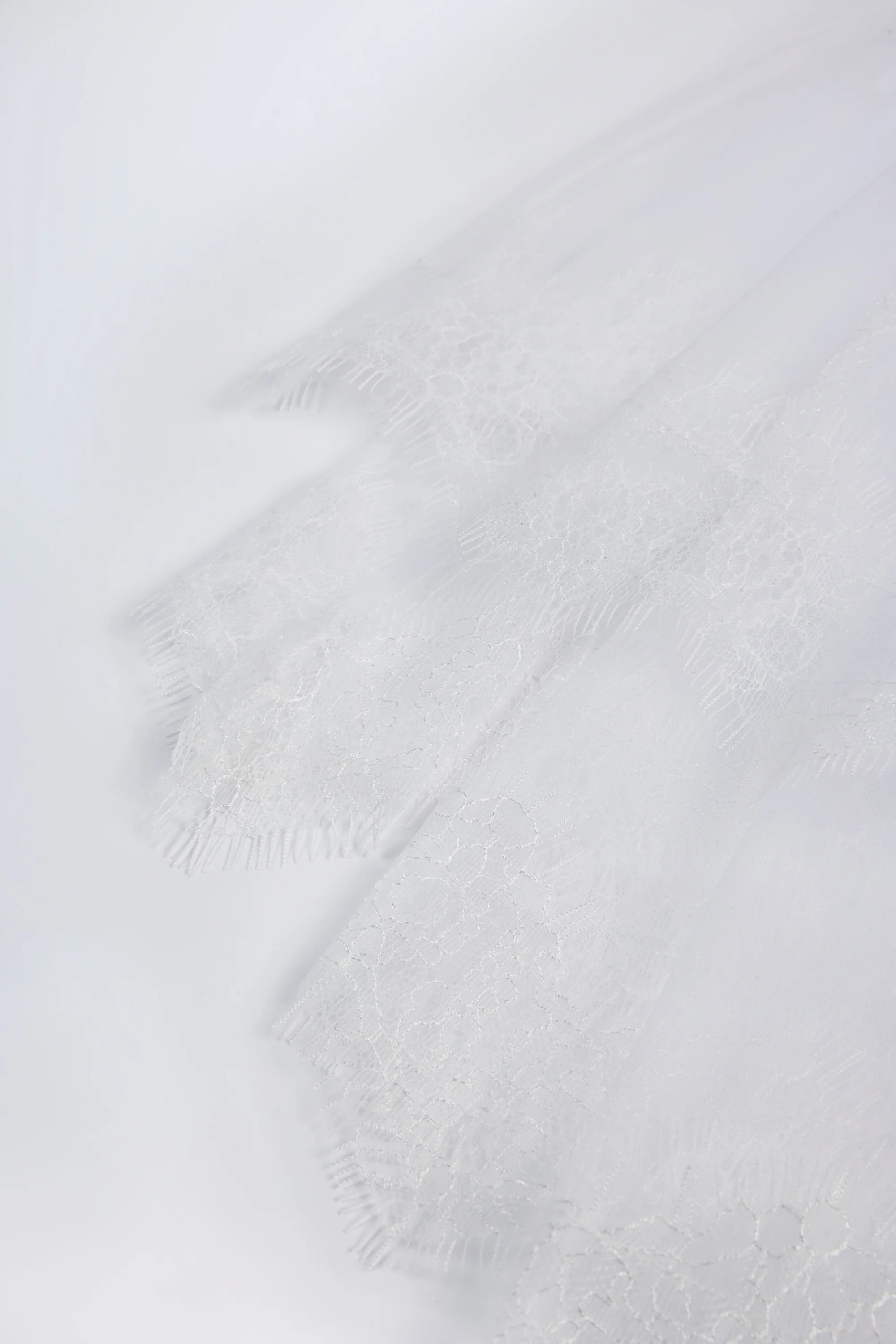 Lace-Trim Veil in White