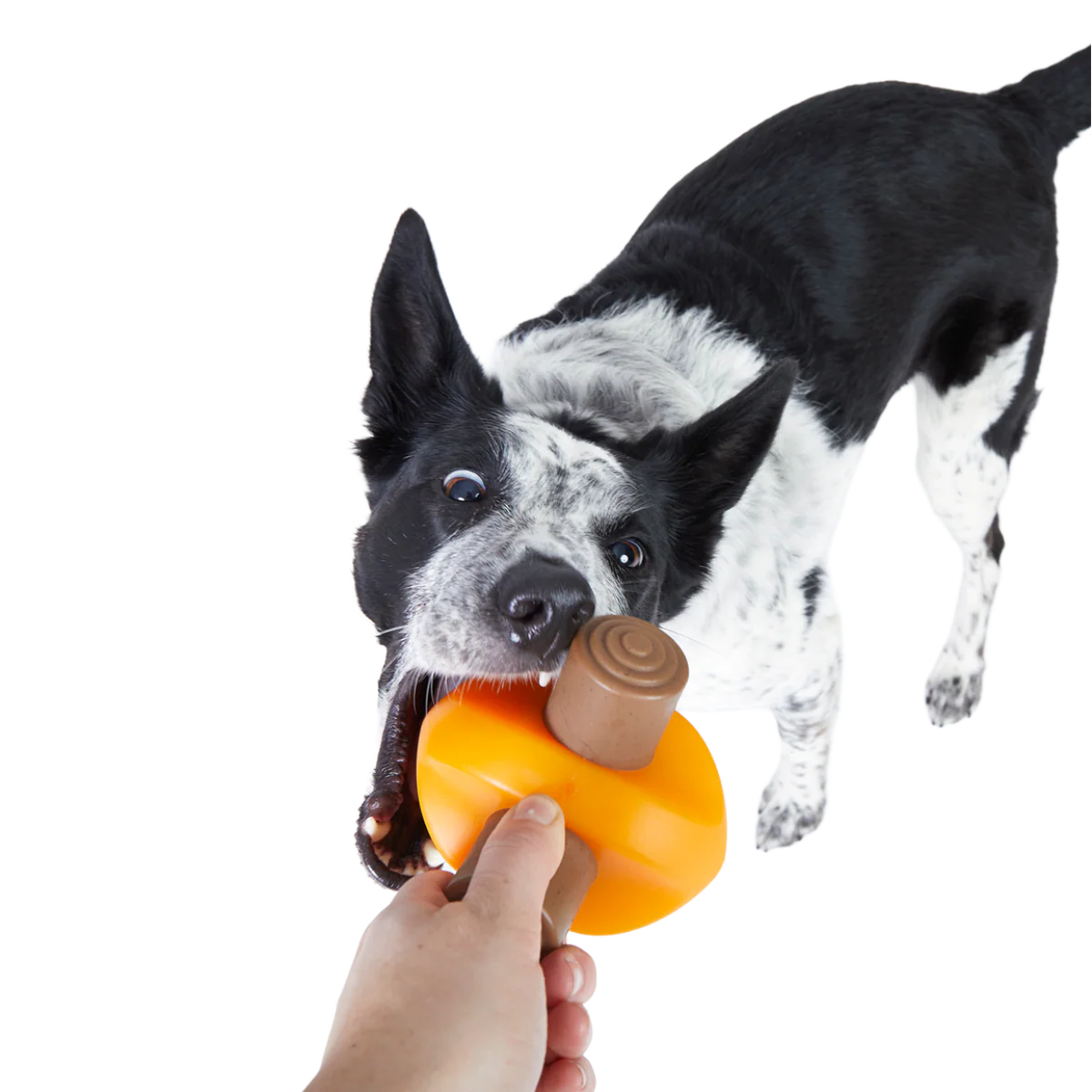 Chompfire Super Chewer Durable Gnaw Dog Toy