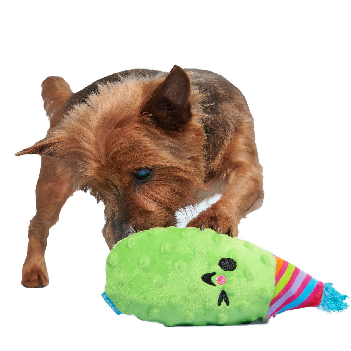 Party Pickle Pedro Tug Dog Toy