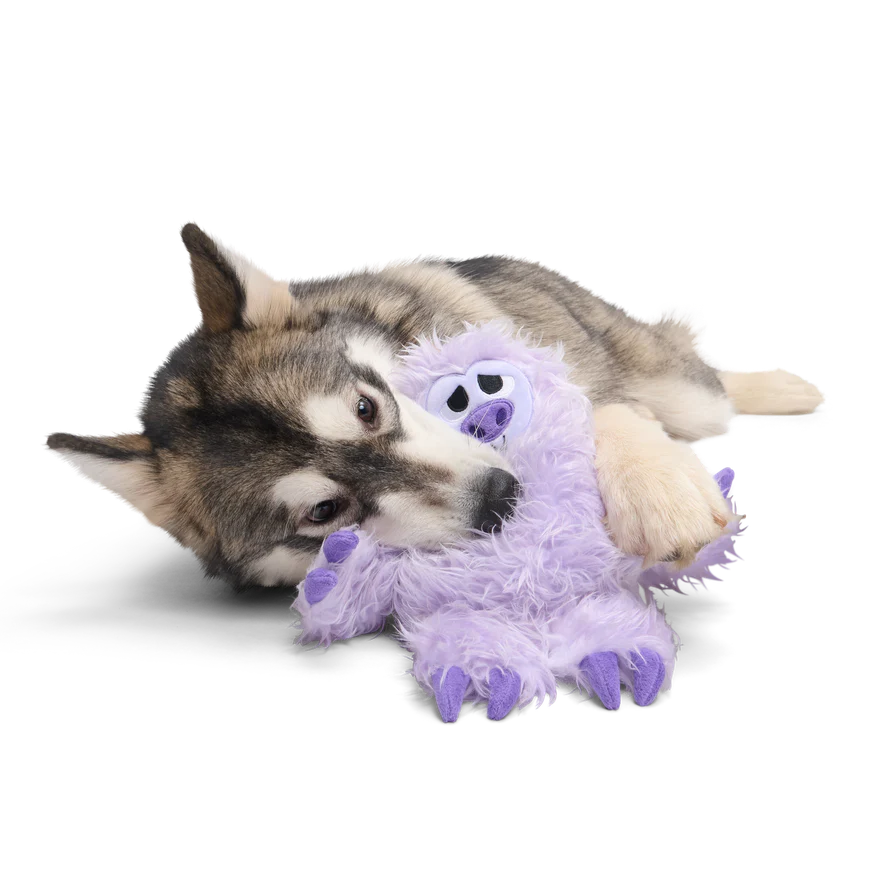Slennifer Sloth Plush Dog Toy