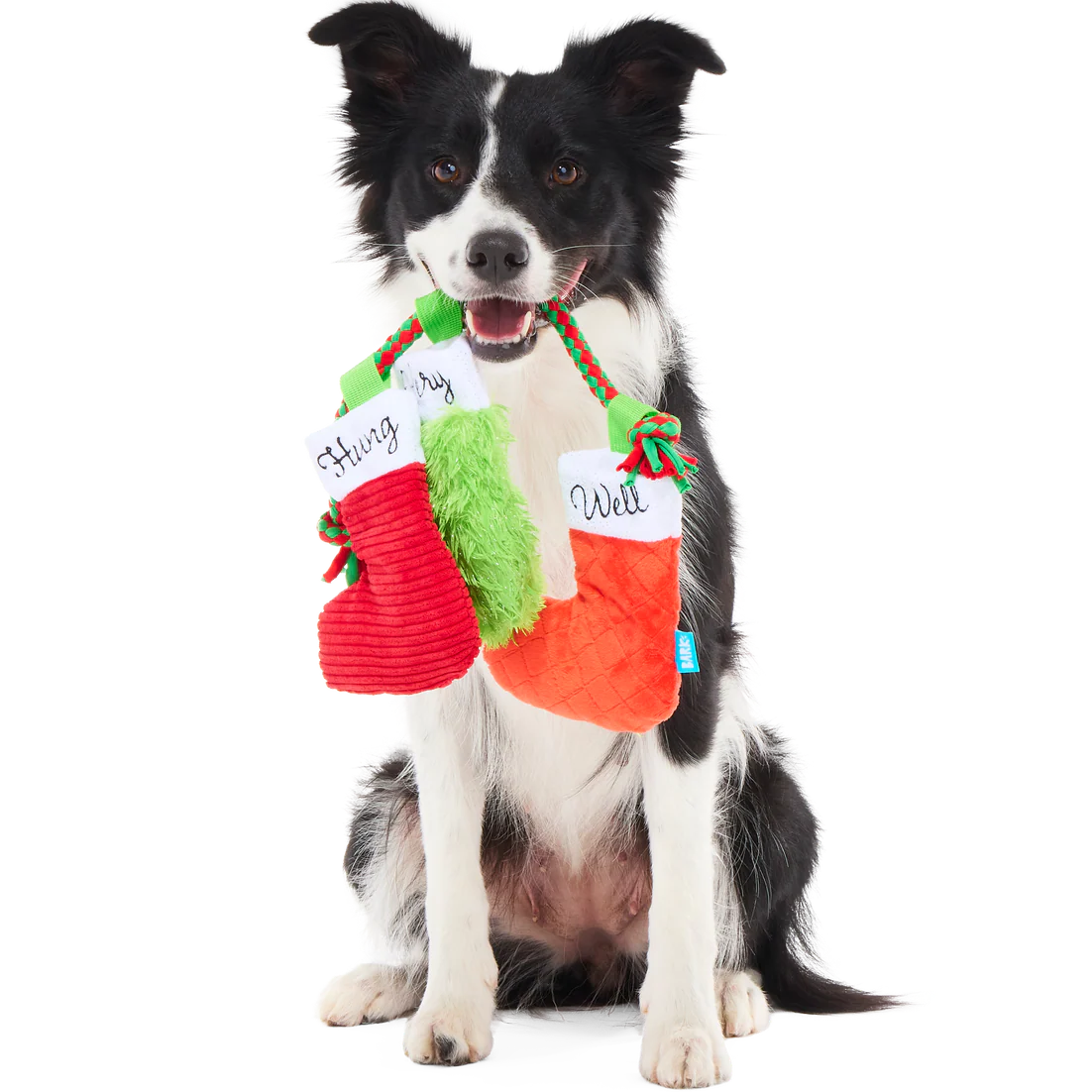 Well Hung Stockings Plush Tug Dog Toy