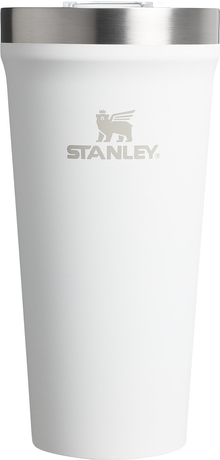 Stanley 20 oz. Everyday Tumbler - Frost