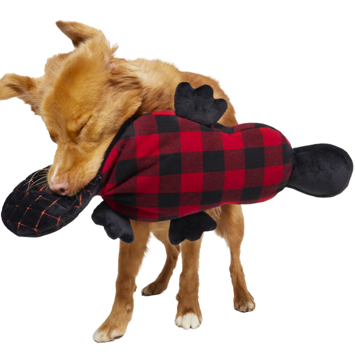 Plaidypus Plush XXL Dog Toy