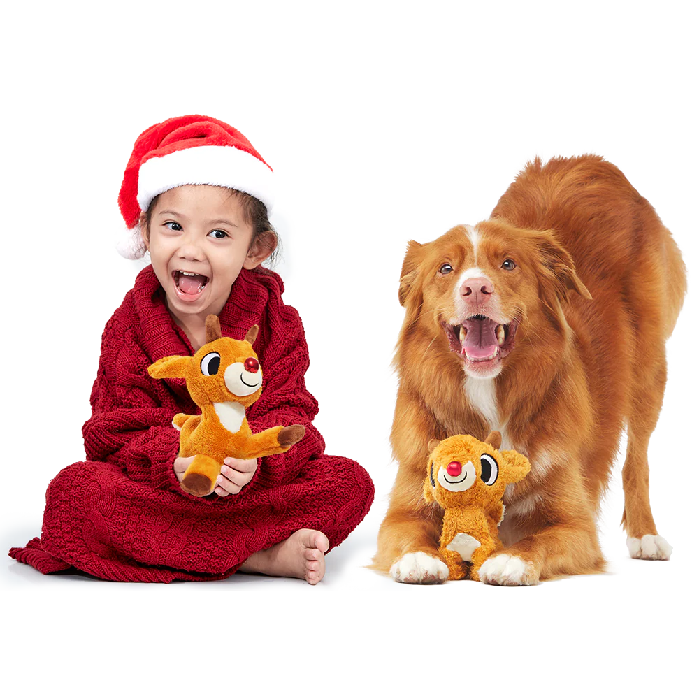 Runnin' Rudolph® Plush Multi-Part Kid + Dog Toy Bundle