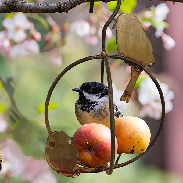 Winged Retreats Hanging Bird Feeder or Nest Starter, Choose Your Style