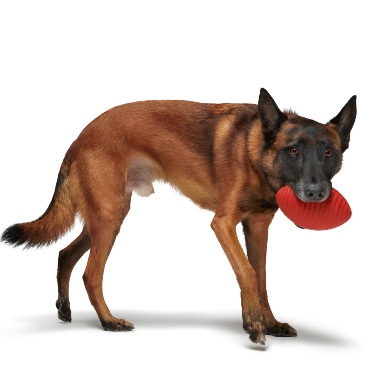 Red Zone Football Super Chewer Durable Fetch Dog Toy