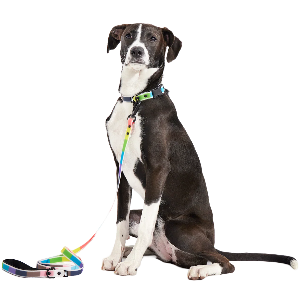 Pride Walking Gear Bundle