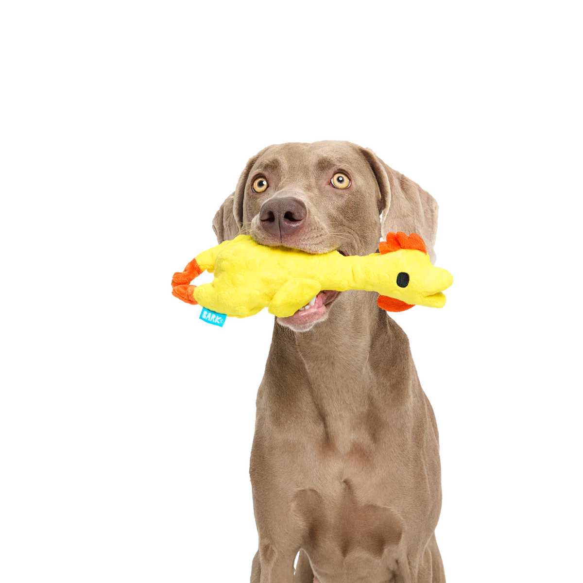 Fozziwig’S Rubber Chicken Plush Tug Dog Toy