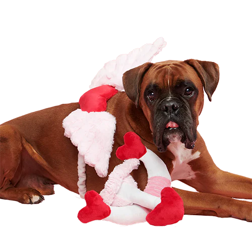 Cupid Bundle Plush Wearable Dog Toy