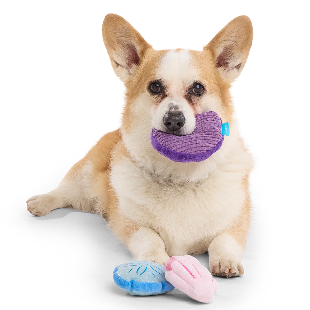 Fetchin' Squeakshells Plush Multi-Part Dog Toy