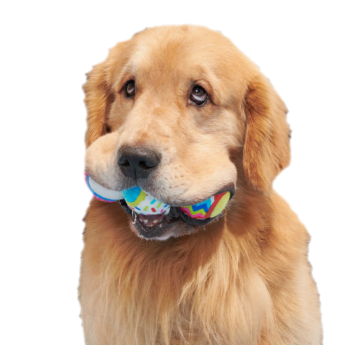 Party Fetchers 3 Squeaky Tennis Balls