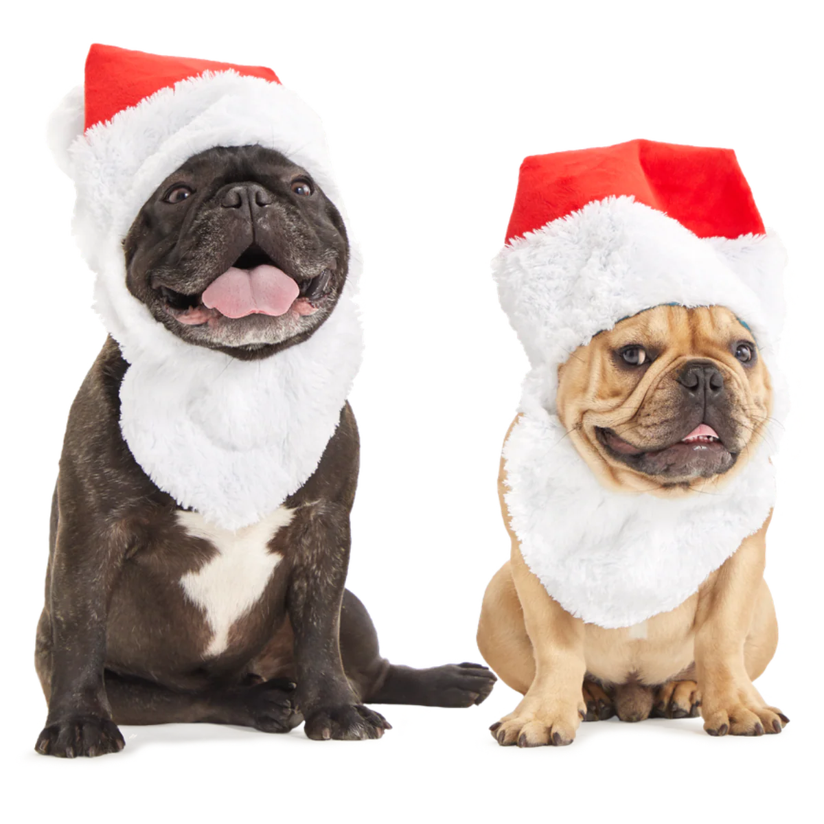 Here Comes Santa Paws Plush Wearable Tug Dog Toy