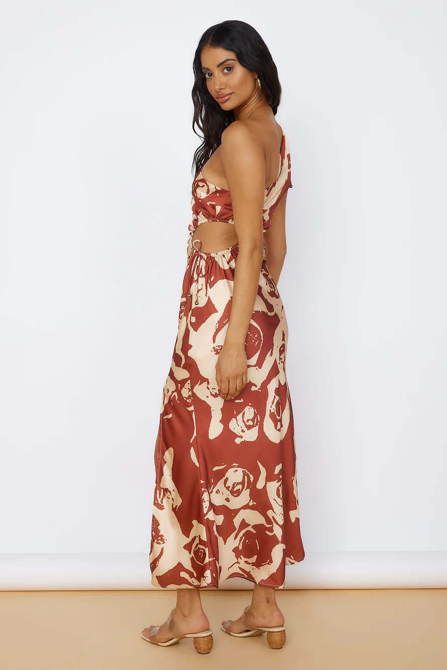 Fulfilled Dreams Maxi Dress Brown